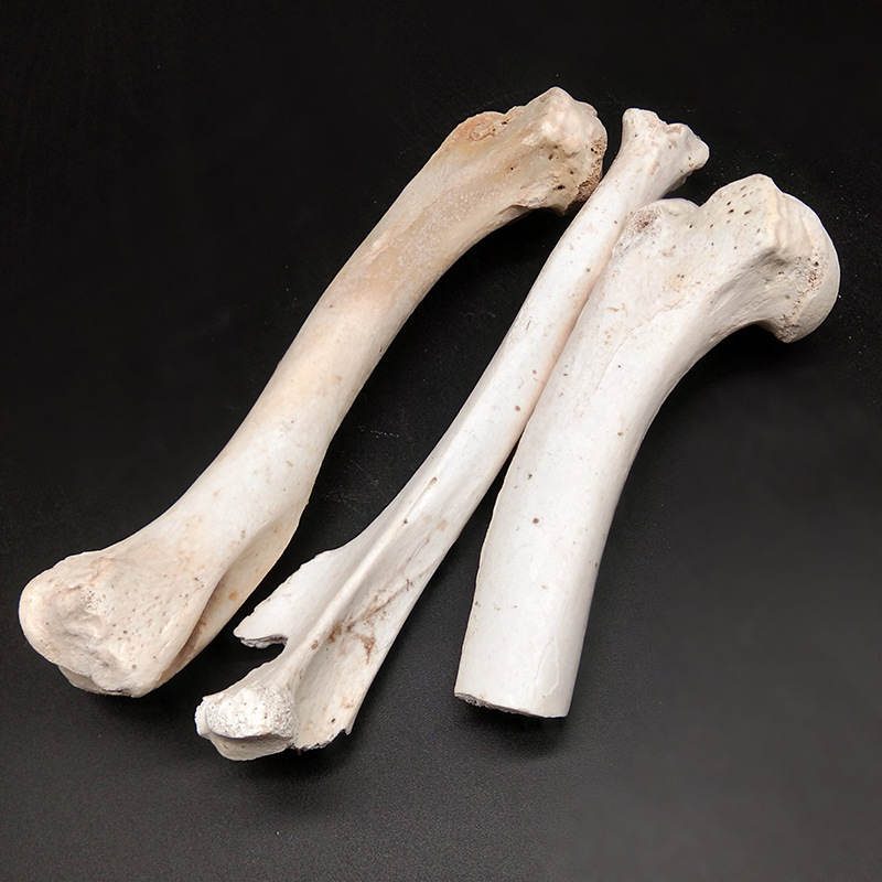 狗骨头 中药材 500克 白枪杆 草麻黄 麻黄 中草药【图片 价格 品牌