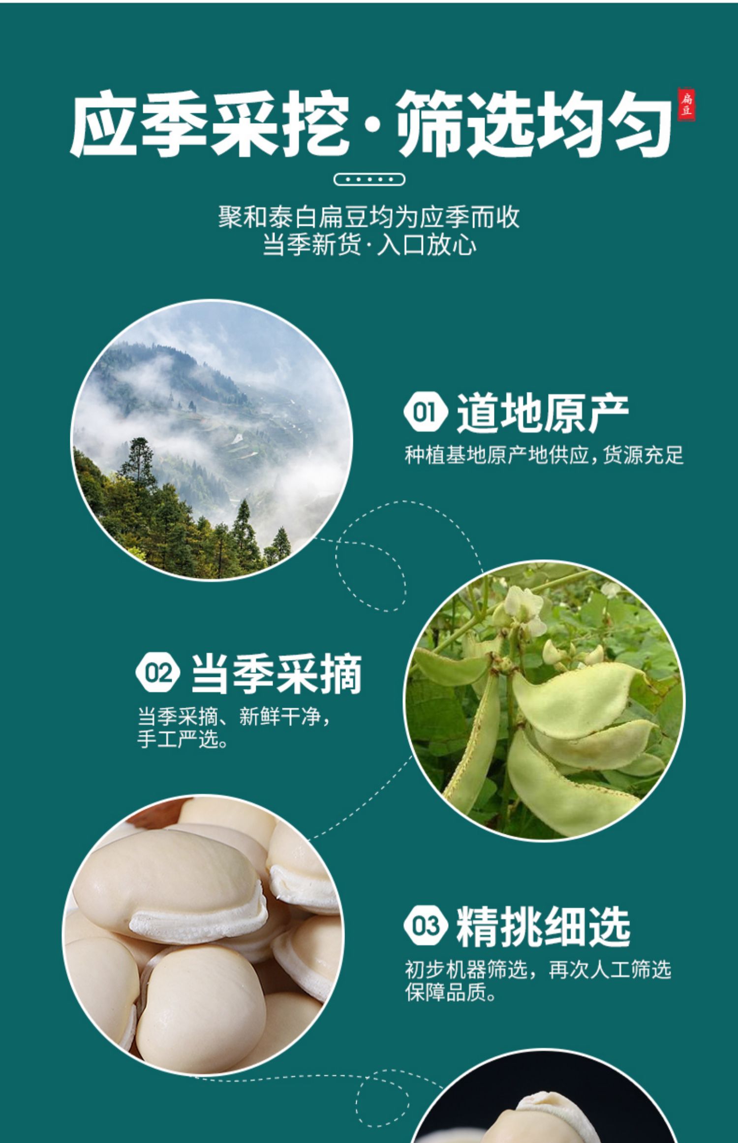 白扁豆云南农家正宗白扁豆500g克干货大白扁豆东北自种杂粮南扁豆