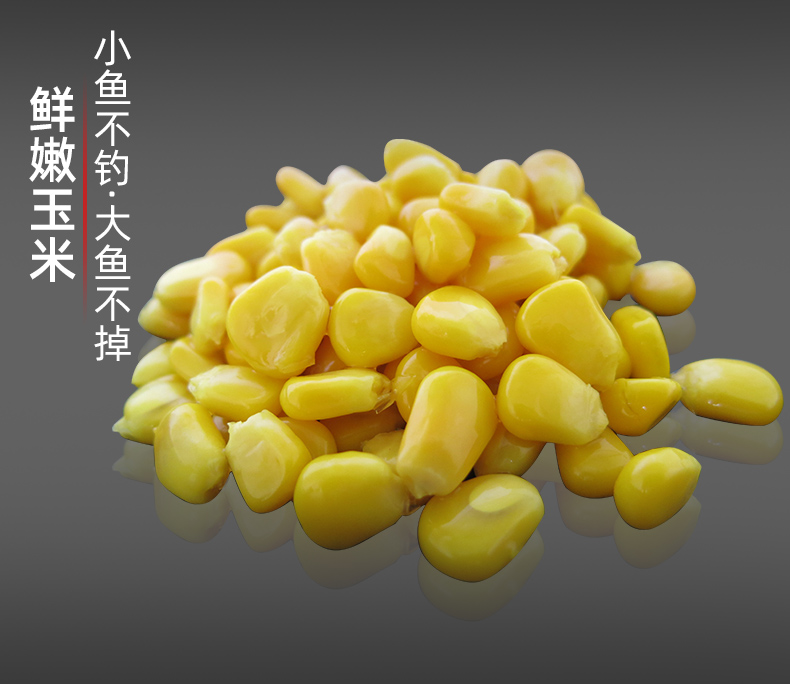 天·元武汉嫩玉米武汉嫩玉米窝料青草鲤综合钓饵大物五谷杂粮玉米打窝