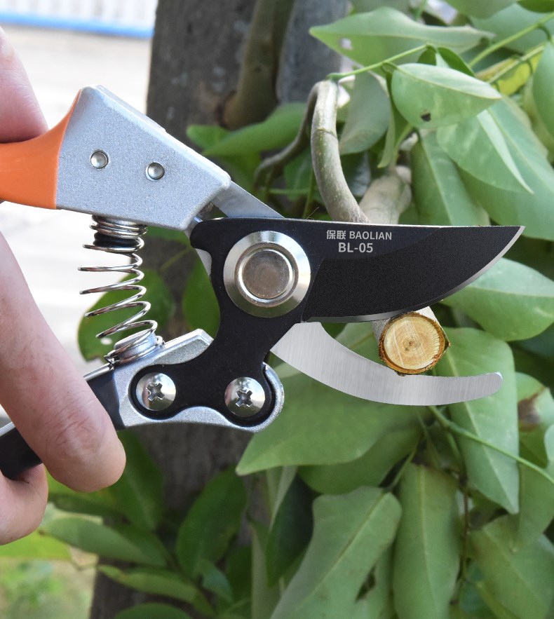 树枝修剪刀剪枝园林修果树修枝修剪园艺剪子树枝剪刀花剪工具神器花艺