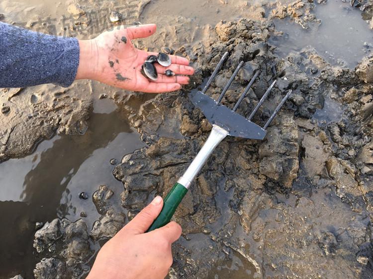 赶海挖蛤蜊螺神器 赶海工具耙子套装海边挖海蛎子贝壳沙滩蛤蜊螃蟹