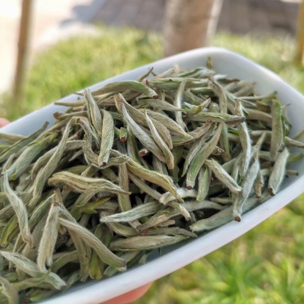 茗播福建2022新茶白毫银针大毫白茶散装白豪银针明前首采白茶茶叶 头