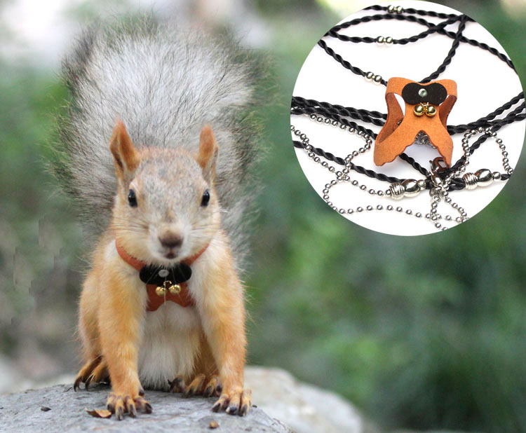 魔王雪地黄山松鼠背带牵引绳防打结防咬带铃铛分体外出绳总长3米 粉色