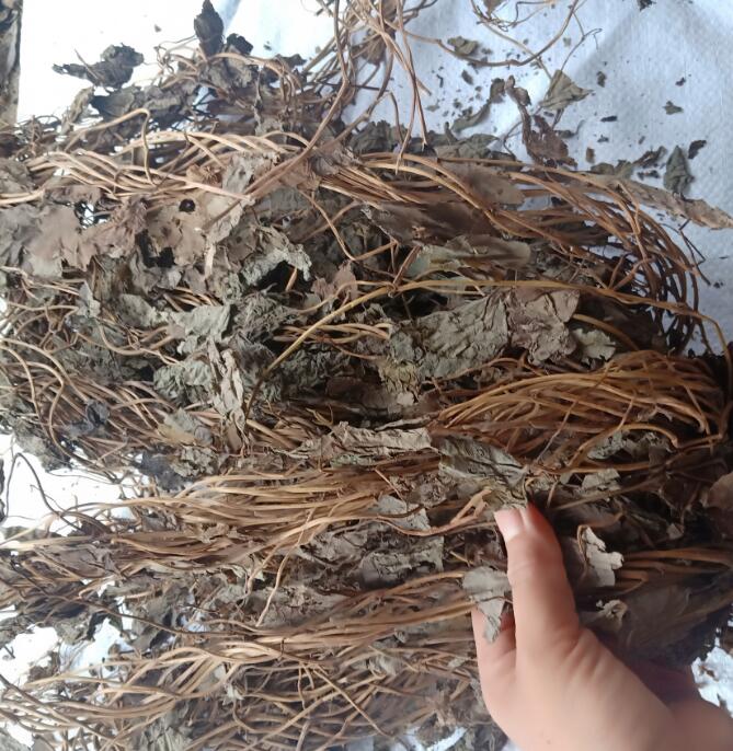 通城虎草 500克定心草五虎通城 一点血 血蒌【图