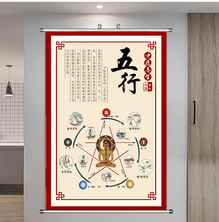 中医五行养生画金木水火土挂画养生馆装饰挂图人体五行图解海报 阴阳