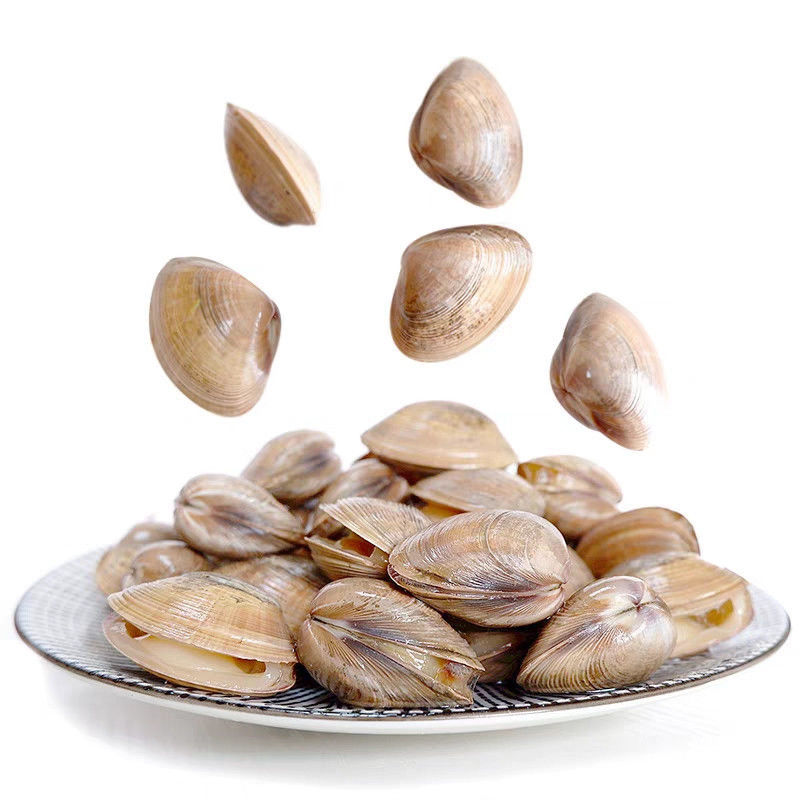 真空即食黄蚬子丹东大黄蚬子蚬子新鲜鲜活蚬子肉新鲜丹东海鲜5袋真空
