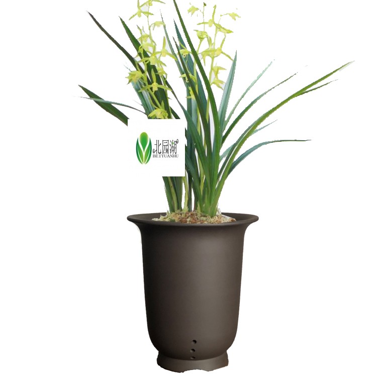 宜兴紫砂兰花盆兰花专用盆君子兰盆绿萝花盆透气陶瓷紫砂盆 浅灰色