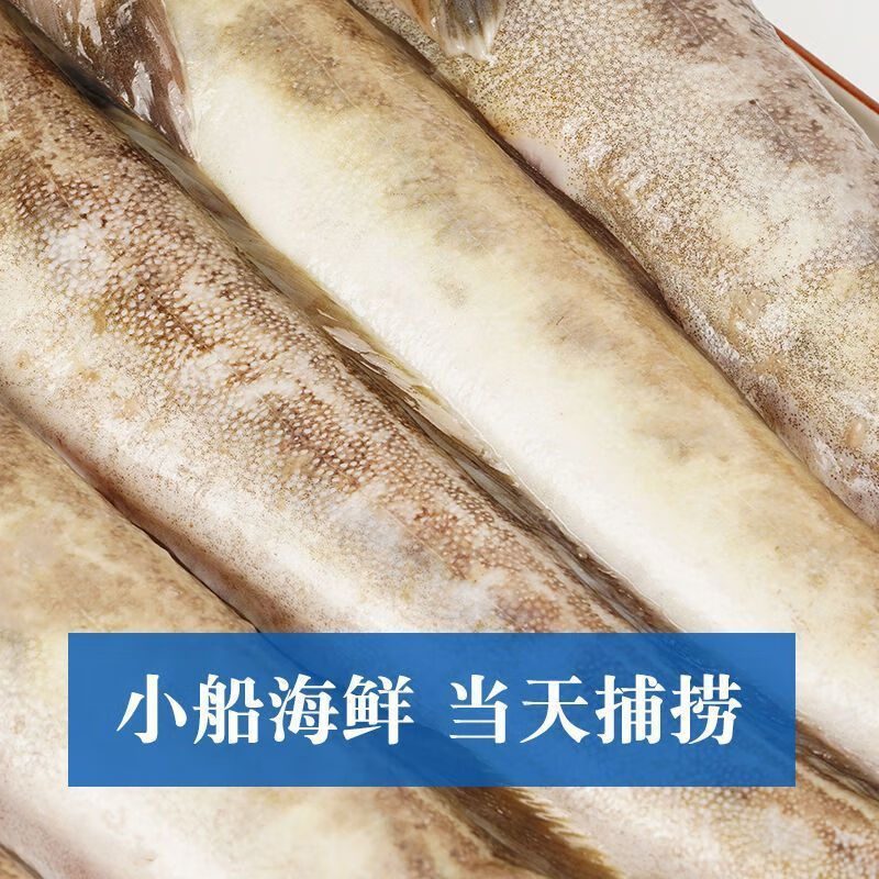 新鲜速冻沙光鱼现捕沙丁鱼海鲶鱼海鲜海鱼批发 5斤(肉质鲜美【图片
