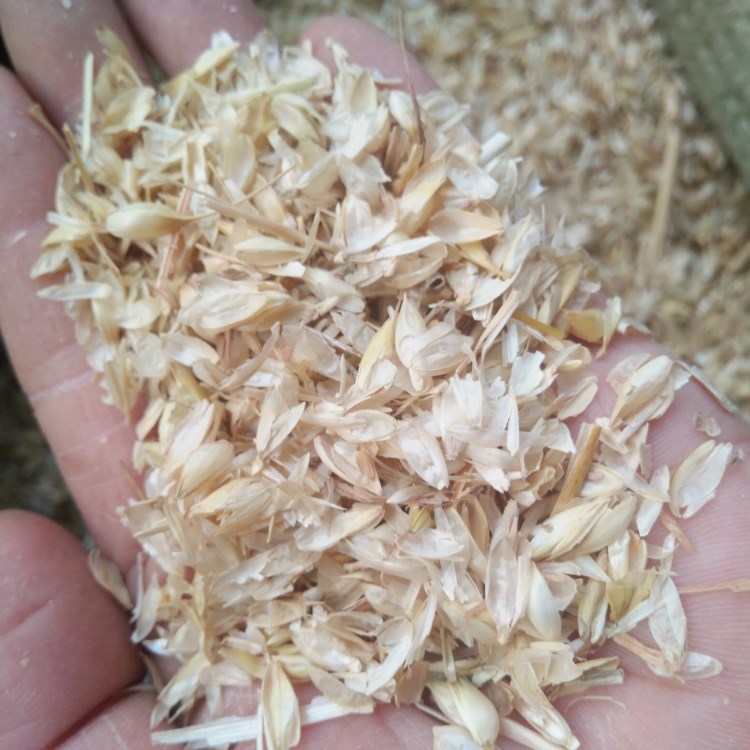 2斤小麦麦糠 新麦壳麦子皮秸秆麦芒可入药装修装饰培育做枕头饲料基质