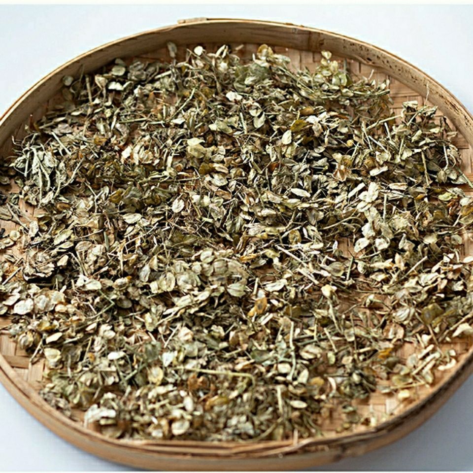 60啡晨败酱草中草药新鲜干货100g克白花败酱草北败酱草中药材可磨粉