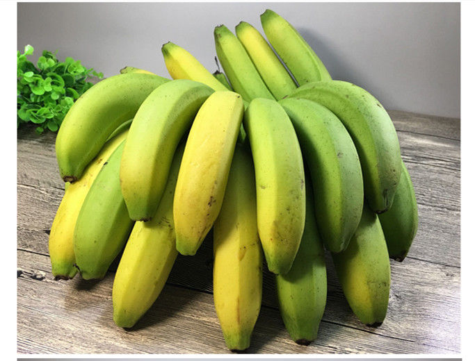 新鲜青皮香蕉 现摘无催熟香蕉新鲜水果3/5/10斤 10斤装