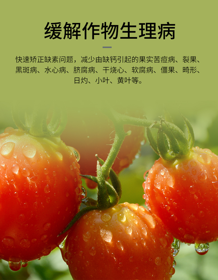 鲁丰钙镁硼锌铁防裂果树蔬菜药材通用糖醇中微量元素螯合叶面肥料