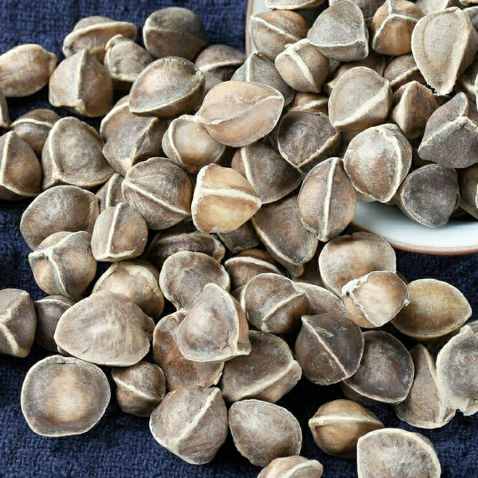 60啡晨辣木籽野生老树精选正宗辣木子食用散装多规格sn4964小辣木子