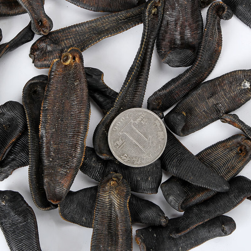 宽体金线水蛭蚂蟥干货【图片 价格 品牌 报价】-京东