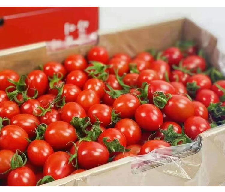 【顺丰-多地隔日达】串收小番茄 玲珑圣女果5盒樱桃小西红柿当季新鲜