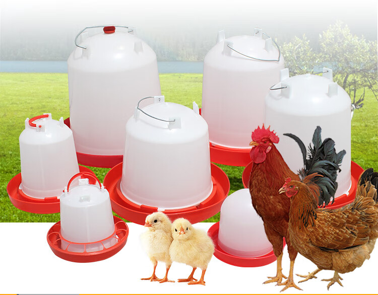 鸡喝水桶水槽饮水壶小鸡饮水器自动饮水壶养鸡设备专用养鸡用品7号鸡