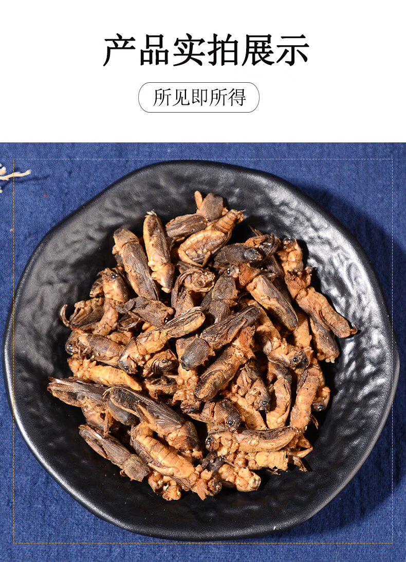 中药材蝼蛄蝼蛄干土狗散装500g无杂质可磨粉蝗虫干蛐蛐【图片 价格