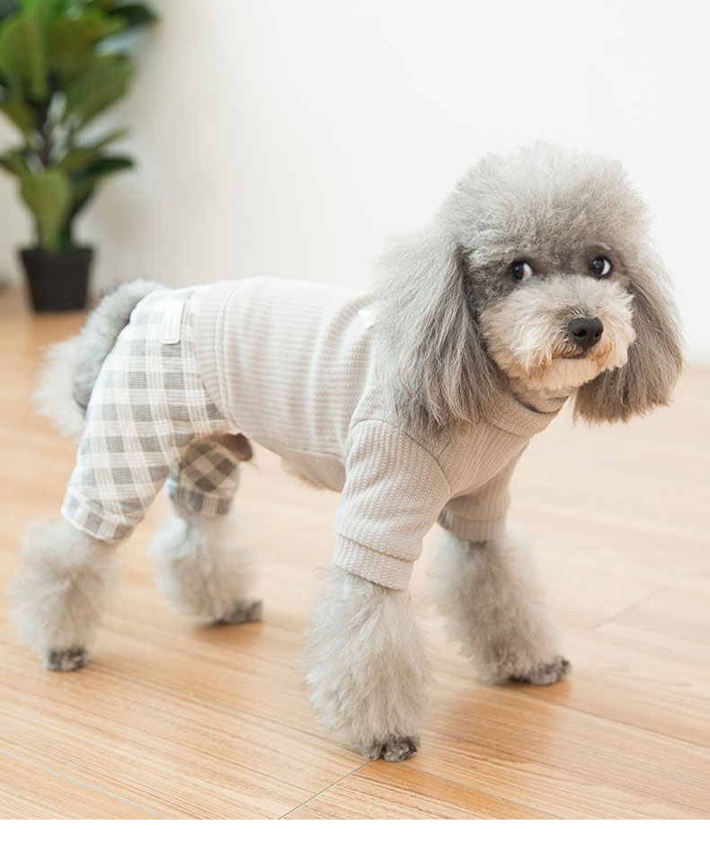 翻领星星四脚衣泰迪狗狗秋冬装型犬比熊贵宾犬衣服冬季加厚保暖 蓝灰