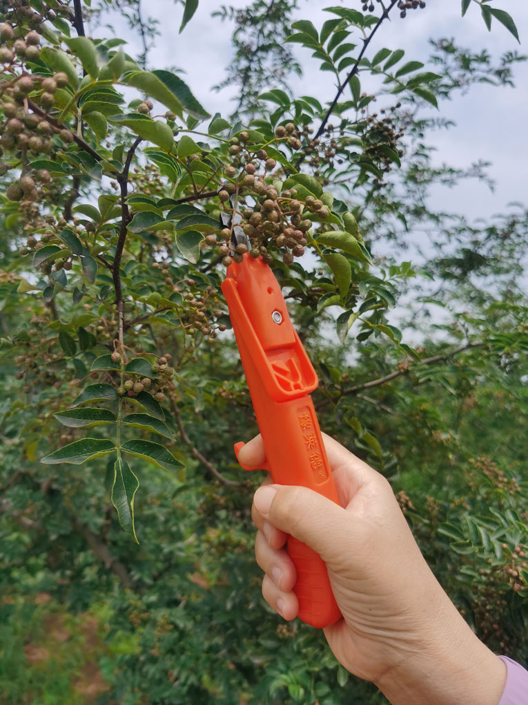 机升级款手握式花椒采摘机手动摘花椒采摘神器采摘麻椒剪刀剪枝工具