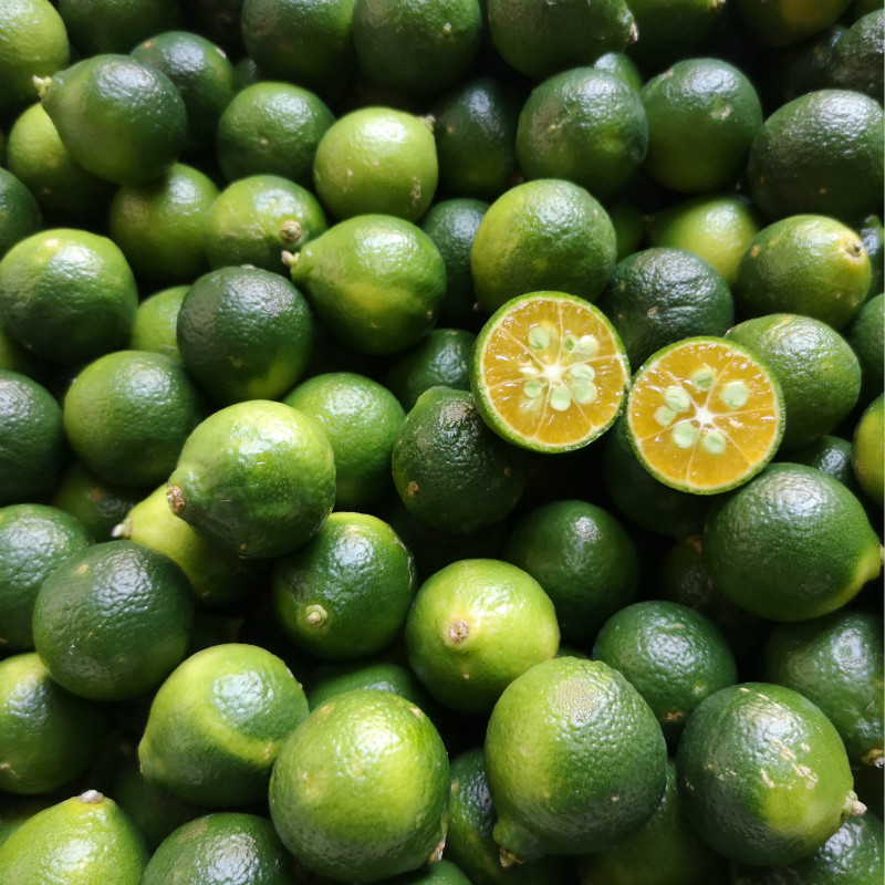 香馜 现货新鲜青金桔 海南小金桔酸青桔 奶茶水果 椰子鸡火锅蘸料配料