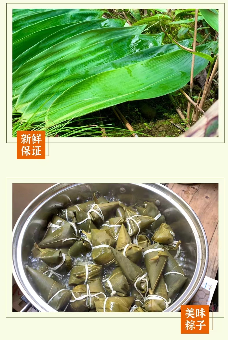 江西农村粽子叶新鲜大号粽叶100片箬叶真空粽叶棕叶包粽子的叶子