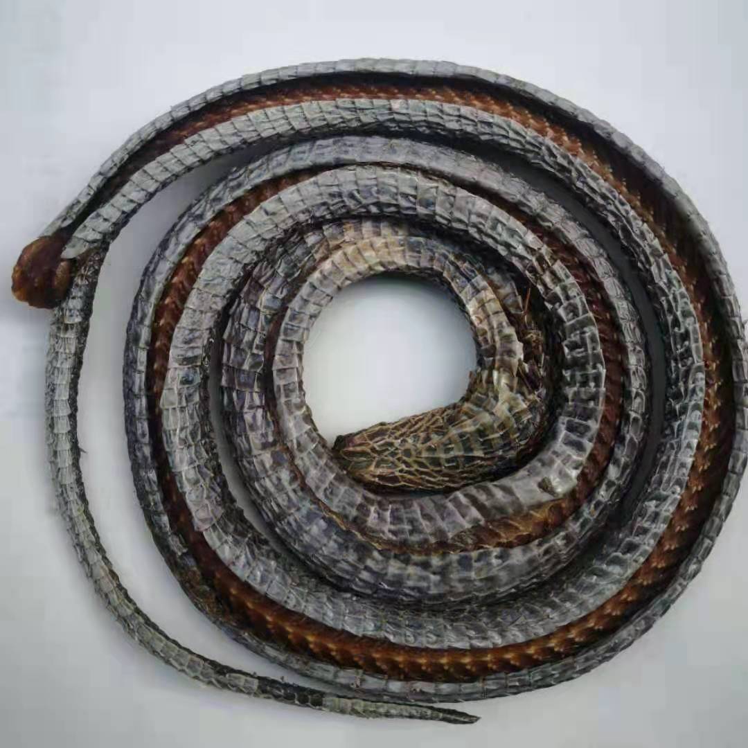 中药材四川乌梢蛇 眼镜蛇100克新货整盘切段磨粉【图片 价格 品牌