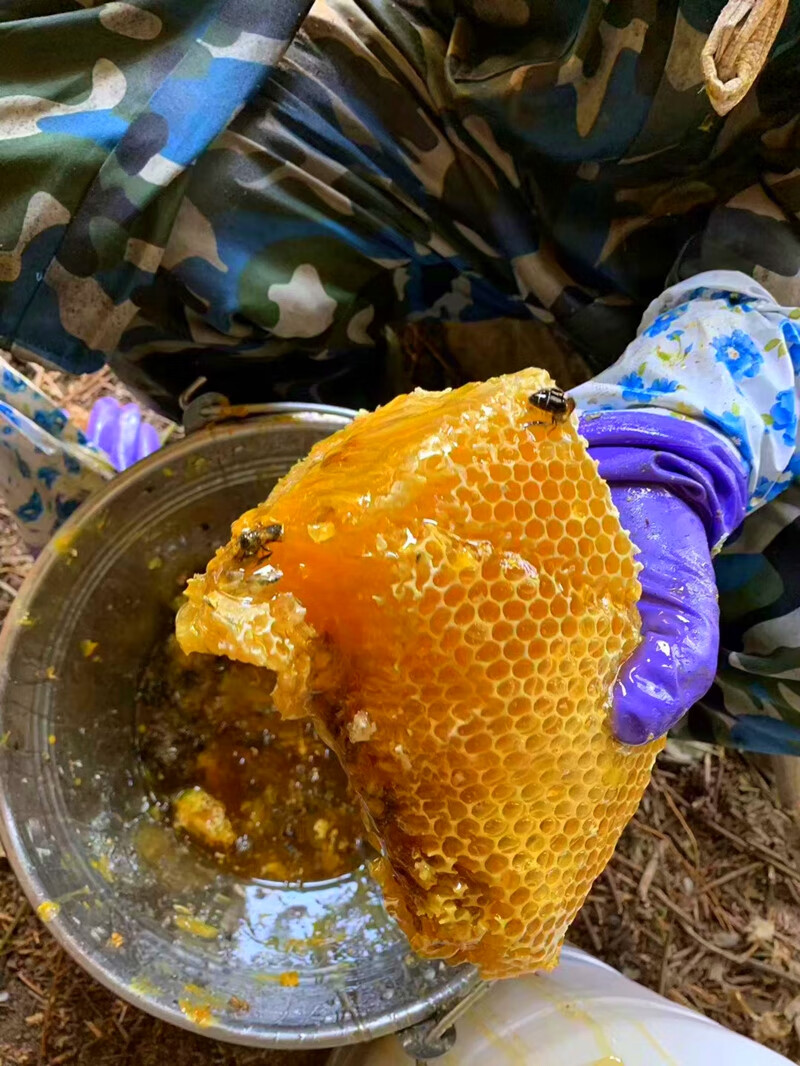 张璐野生悬崖蜂蜜云南深山高原土蜂蜜天然纯正农家无添加成熟原蜜