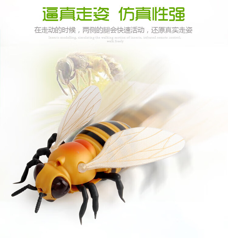 3c1c44ad41d83617.jpg