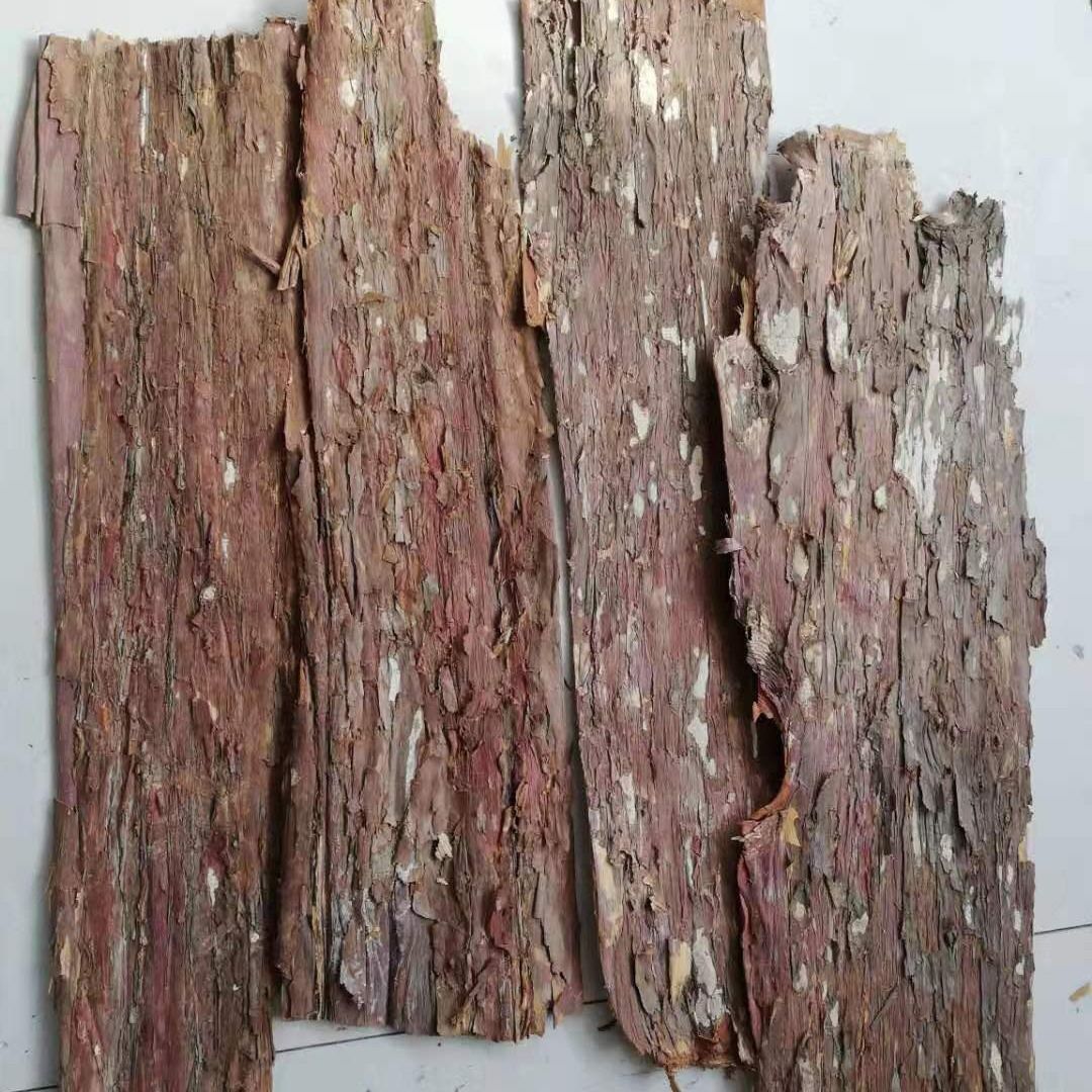 【官方旗舰】树皮中药材云南老树皮紫杉醇含量更高泡水煮茶 树皮
