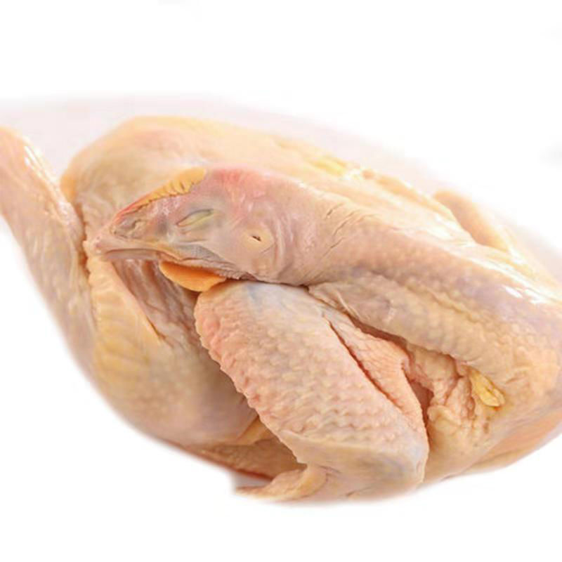 清真鸡肉三黄鸡农家散养土鸡新鲜速冻白条鸡煲汤炖鸡食材三黄鸡1只约