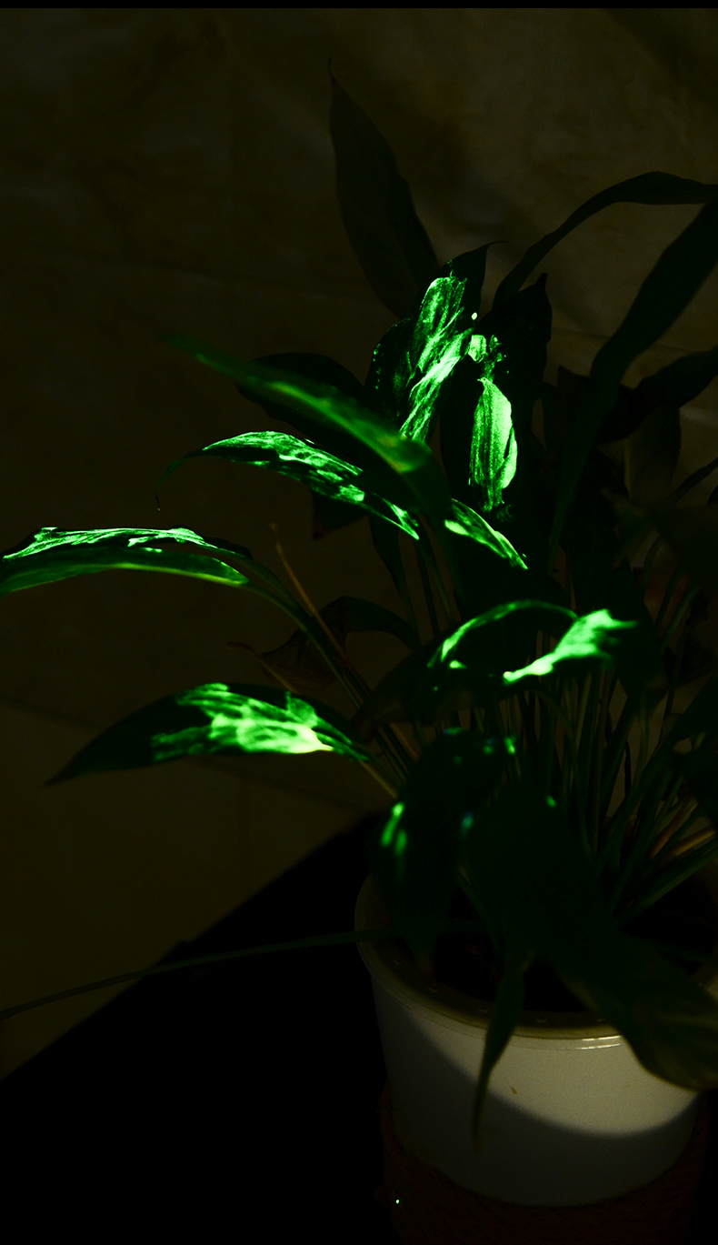 惠阙芸夜光颜料超亮夜光漆手绘diy创作水性艺术荧光漆墙绘发光涂料