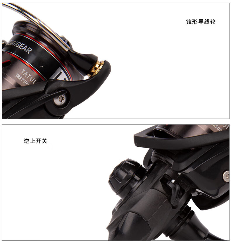 daiwa达亿瓦 18款渔轮 tatula lt 纺车轮 浅线杯路亚钓鱼轮 钓鱼轮 卷