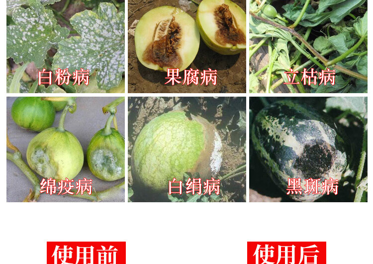 西瓜甜瓜病全治杀菌剂西瓜细菌性角斑病炭疽病花叶病毒病专用药3盒32g