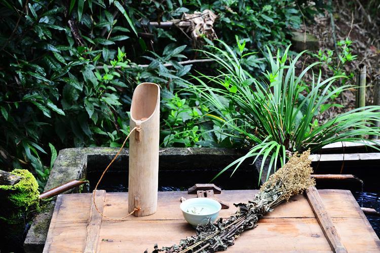 高山野生六月霜茶防中暑解暑热夏季凉茶刘寄奴奇蒿干品 250克【图片