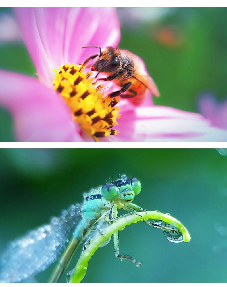 飞丹手机摄像头外接远摄 4k超大广角手机镜头外接高清摄像头适用于