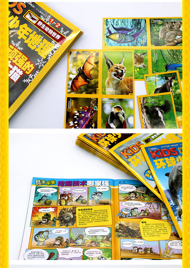 《【含丰富赠品】kids 环球少年地理 全10册 奇妙世界珍藏版 美国国家