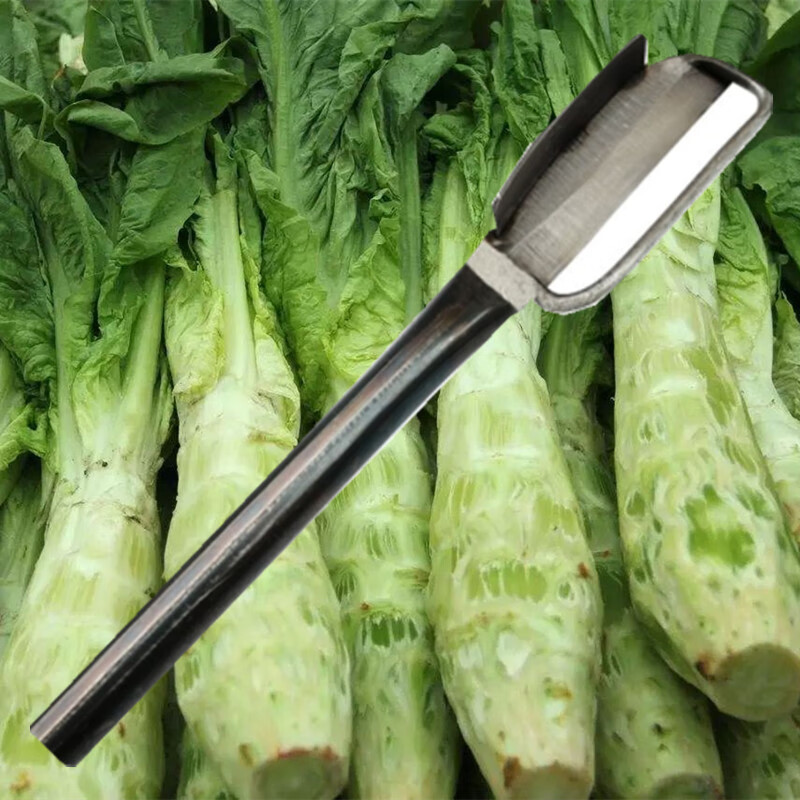 莴笋专用削皮刀新品莴笋削皮刀莴苣削皮刀莴笋刀贡菜苔干刨莴笋去皮刀
