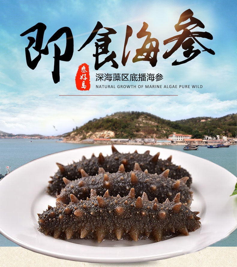 叁好岛即食海参大连刺参辽宁鲜食海参速冻独立真空包装礼盒1520头每斤