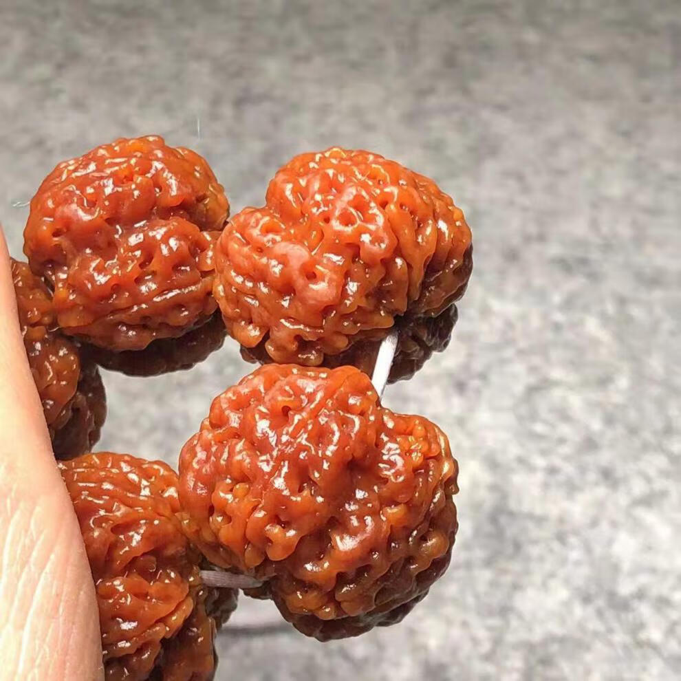 晗遐 精品尼泊尔大金刚菩提子手串5瓣梅花飞碟满肉蜂王把玩文玩男