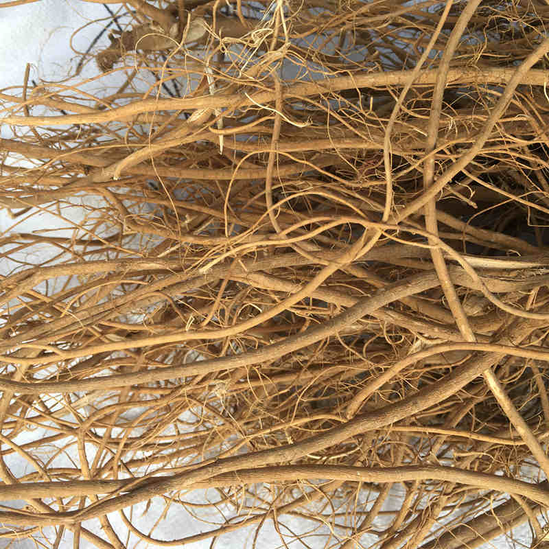 石参根野生炖汤漳州虎尾轮根正宗野生广东客家梅州煲汤正宗石参根 250