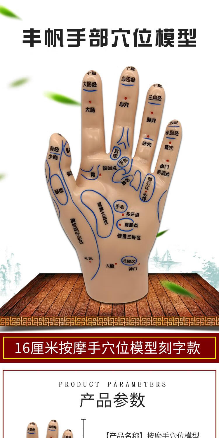 穴位模型15cm手穴位模型图按摩手针灸推拿反射区中医学习教学手部超清