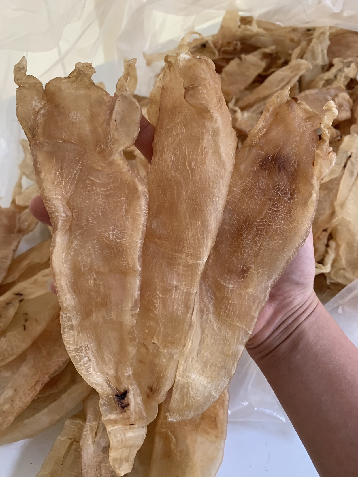 巴西北海鳘鱼胶深海鳘花胶干货孕妇滋补煲汤14头一斤半斤7个