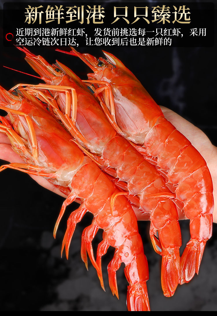 红虾1/2/3/4斤特大鲜活冷冻超大海鲜大红虾l1大号水产 3斤装【图片