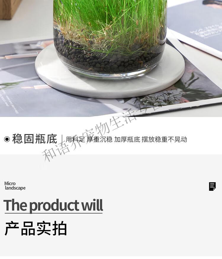 蓝宝(aquablue)网红生态鱼缸小型水草缸造景小鱼缸迷你客厅金鱼缸懒人