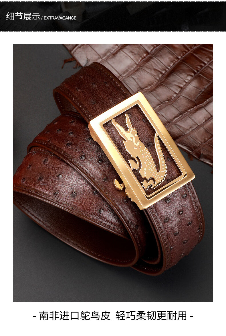 法邦伦fabanglun高端轻牌稀有鸵鸟真皮男士皮带裤腰带男520生日礼物送