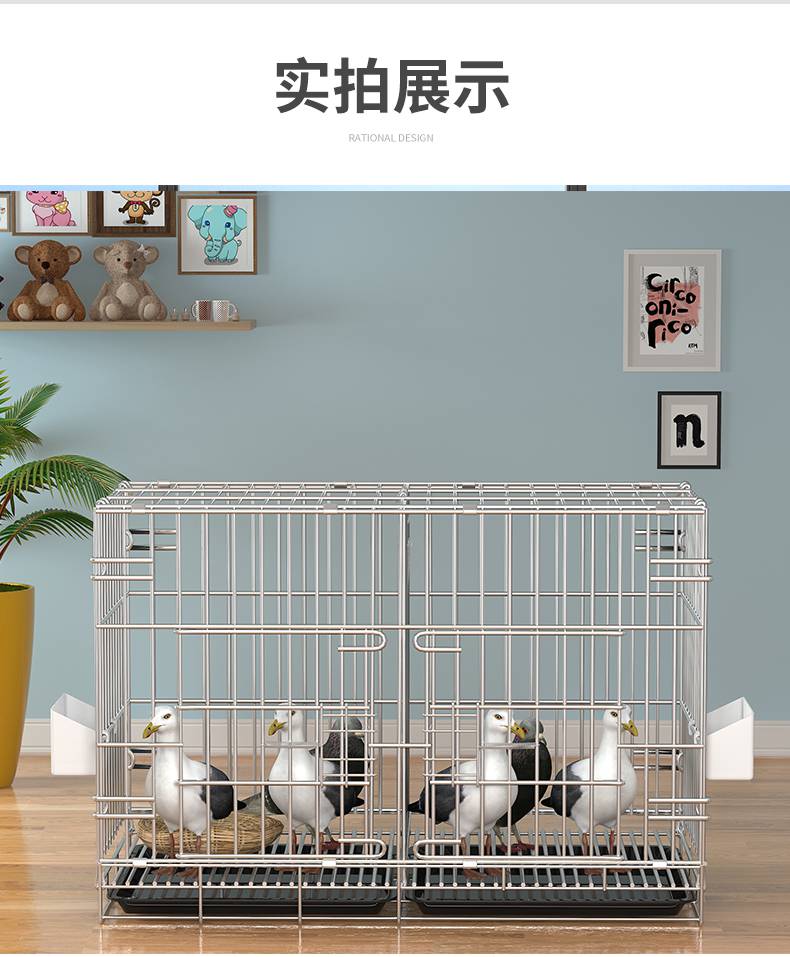 鸽子笼特大号 鸽子笼家用大全养殖笼配对笼繁殖笼小号大号特大室外鸽