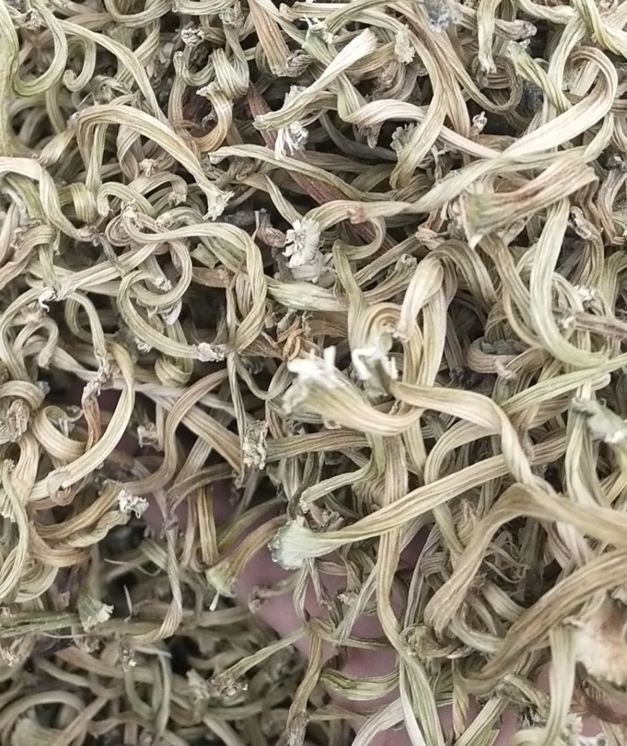 甜瓜蒂10500克无硫甜瓜蒂粉新货苦丁香野生中药材瓜蒂瓜丁甜瓜把甜瓜