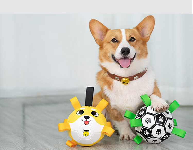 宠物玩具球足球耐咬柯基泰迪柴犬磨牙互动弹力球狗狗用品解闷神器 黑