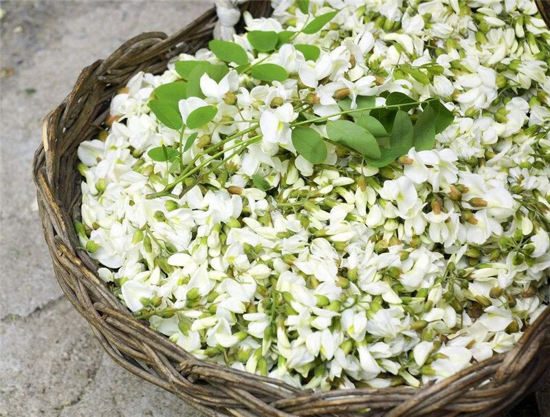 香馜新鲜槐花 现摘槐花 新鲜洋槐花 3斤 花苞槐花 槐米 时令蔬菜