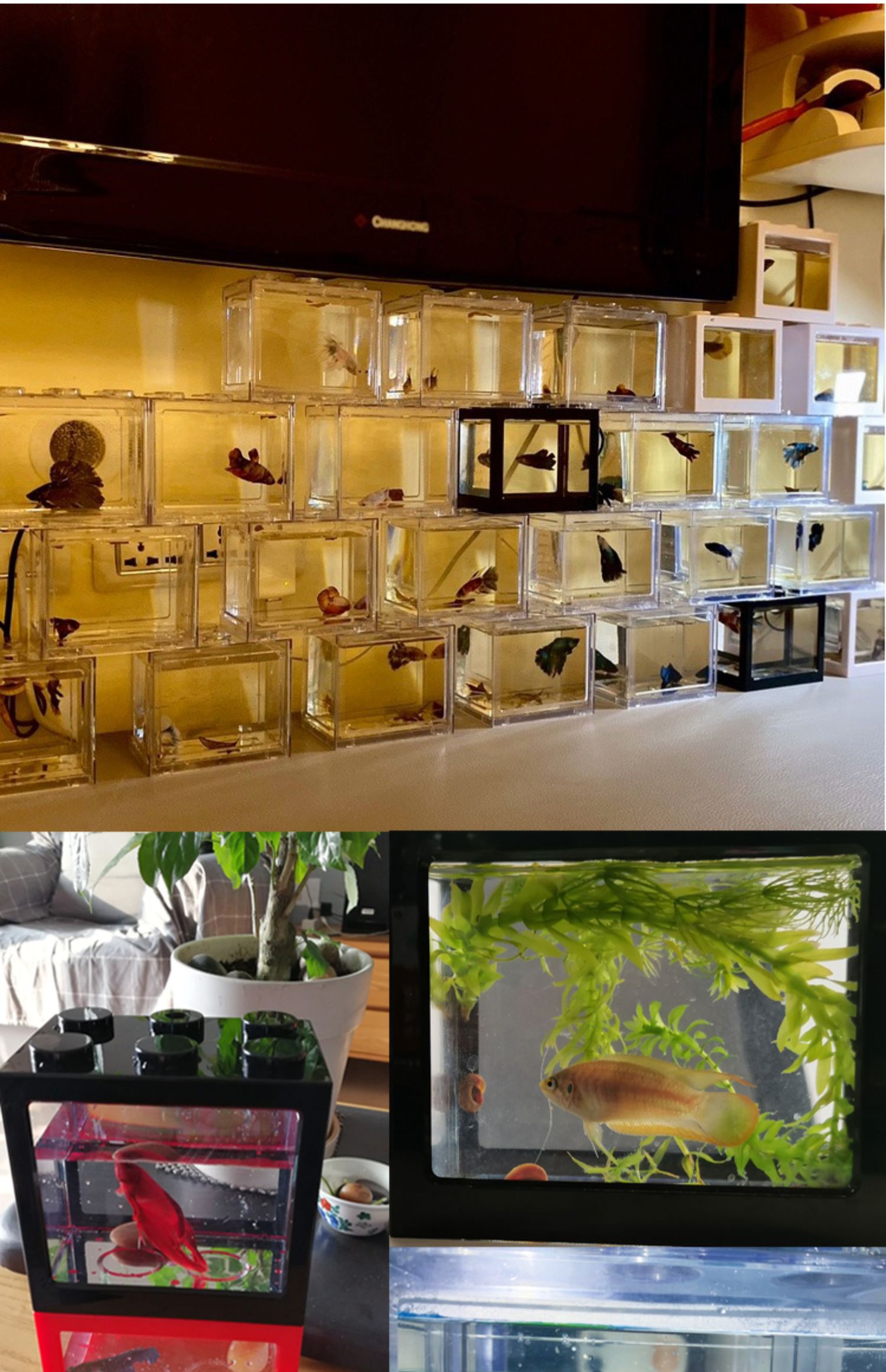 带灯斗鱼缸积木小型迷你塑料桌面客厅办公桌小鱼水母创意排缸黑缸红灯